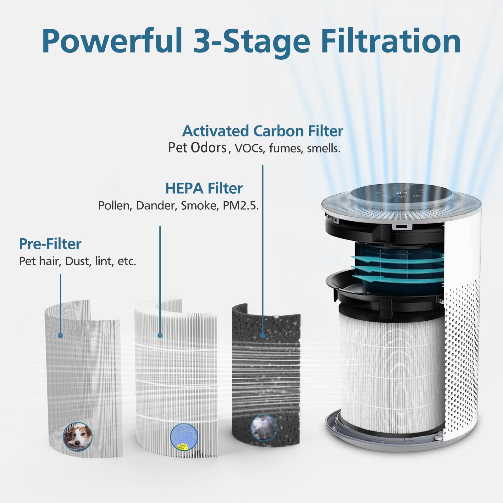 WILERDA activated carbon layer close-up highlights odor removal capability.