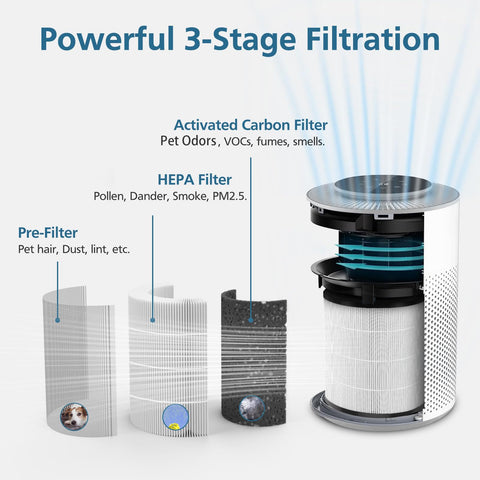 WILERDA activated carbon layer close-up highlights odor removal capability.