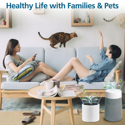 WILERDA activated carbon and HEPA filter for Blue Pure Mini Max reduces cooking odors.