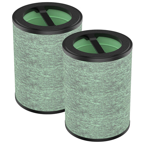WILERDA Wyze standard filter 2-pack in box for easy replacement.