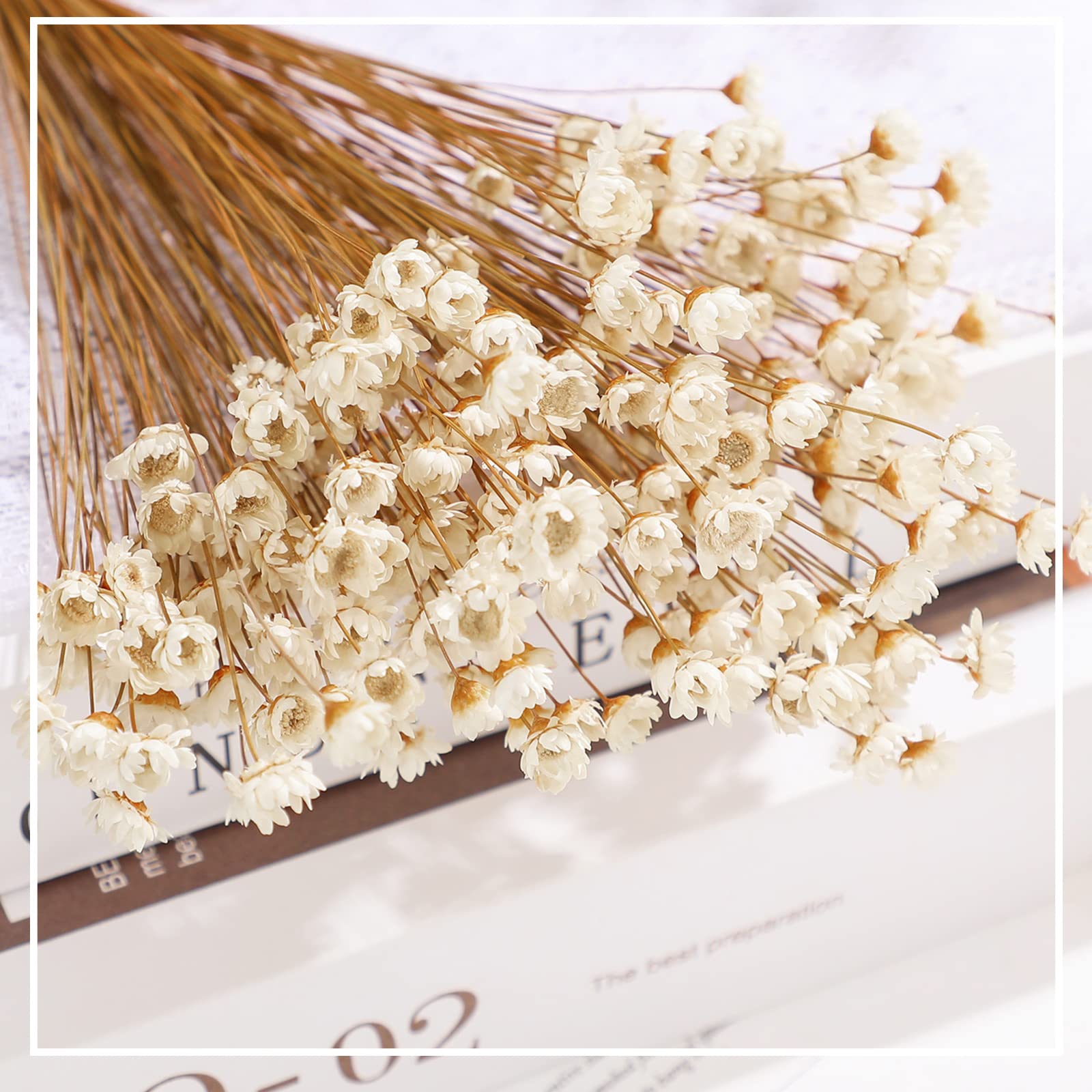 WILLBOND dried flowers bring natural texture to shelves and tables.