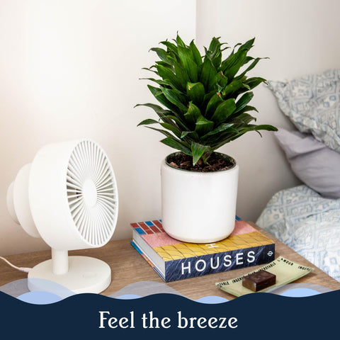 Windmill Smart Fan circulating air across a living space.