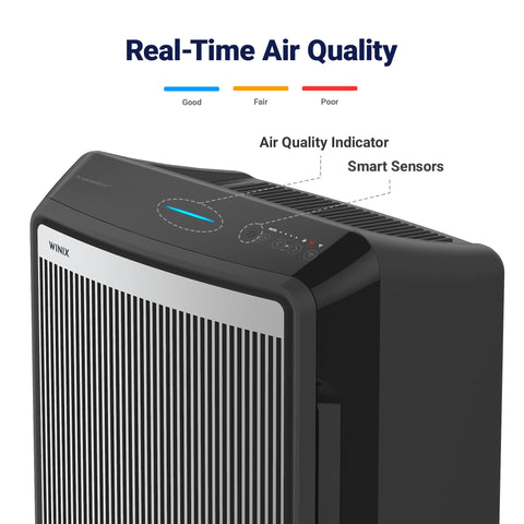 Winix 9800 true HEPA filter capturing ultrafine particles.