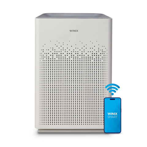 Winix AM90 front view in a large room showing clean air potential