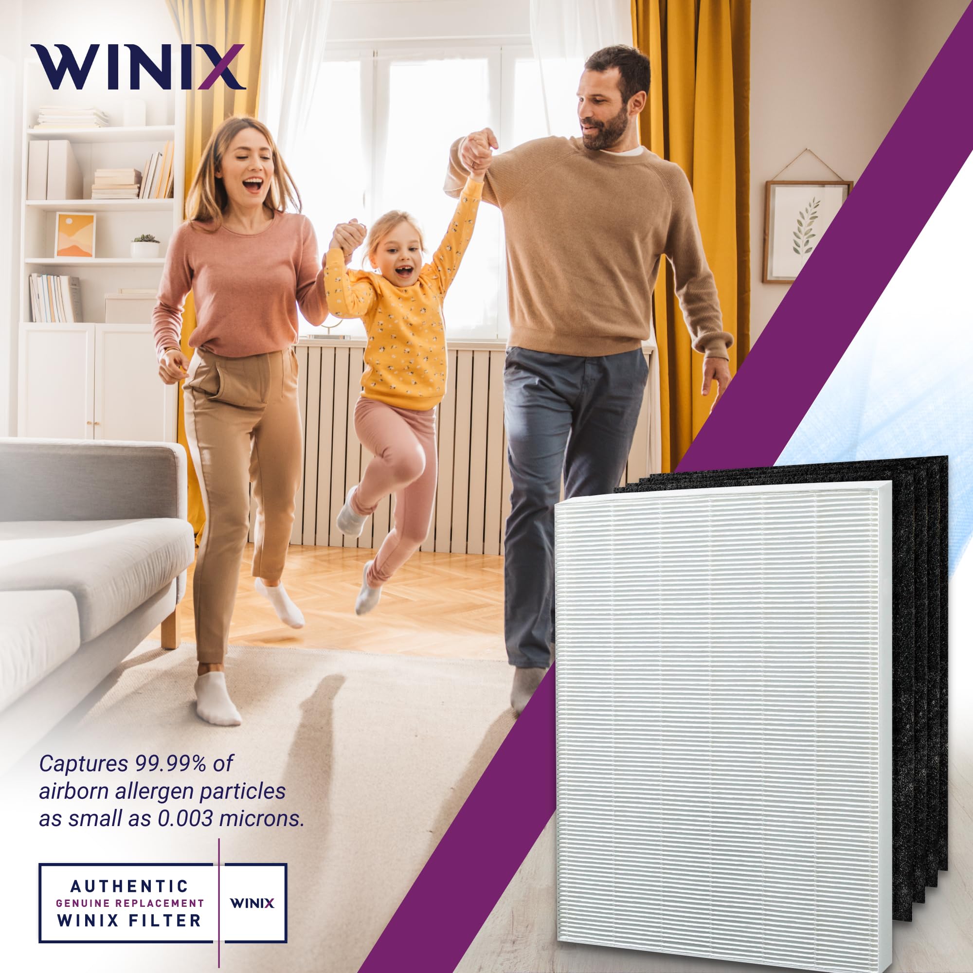 Winix Replacement Filter S packaging image; ready-to-use annual filter kit.