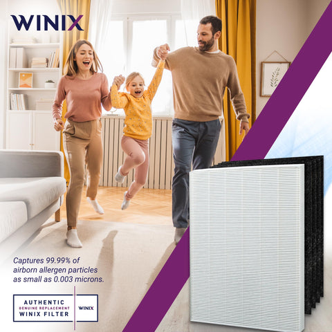 Winix Replacement Filter S packaging image; ready-to-use annual filter kit.