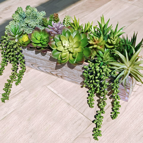 Close-up of Winlyn succulents showing varied shapes for DIY centerpieces.