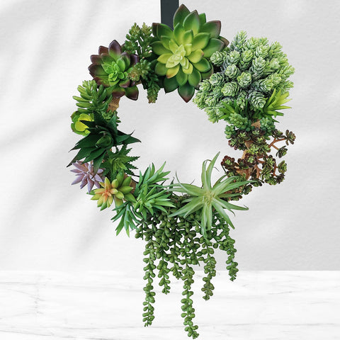 Winlyn bendable succulent stems arranged for flexible indoor styling.