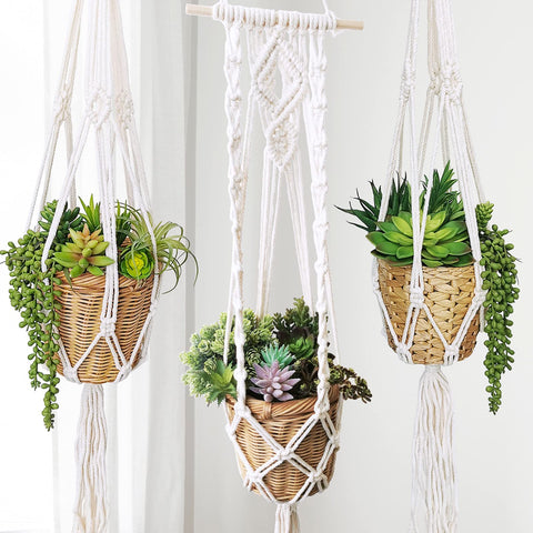 Durable Winlyn artificial succulents with flocked texture and realistic leaves.