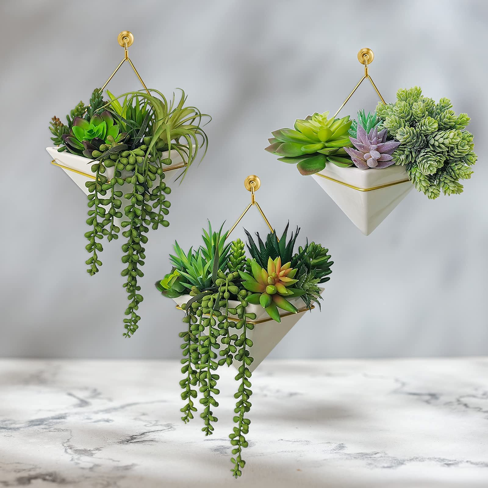Winlyn echeveria and aloe-like stems add texture to crafts and displays.