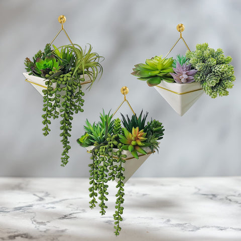 Winlyn echeveria and aloe-like stems add texture to crafts and displays.