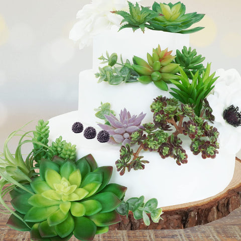 Bright green and purple tones from Winlyn succulents for vibrant decor.