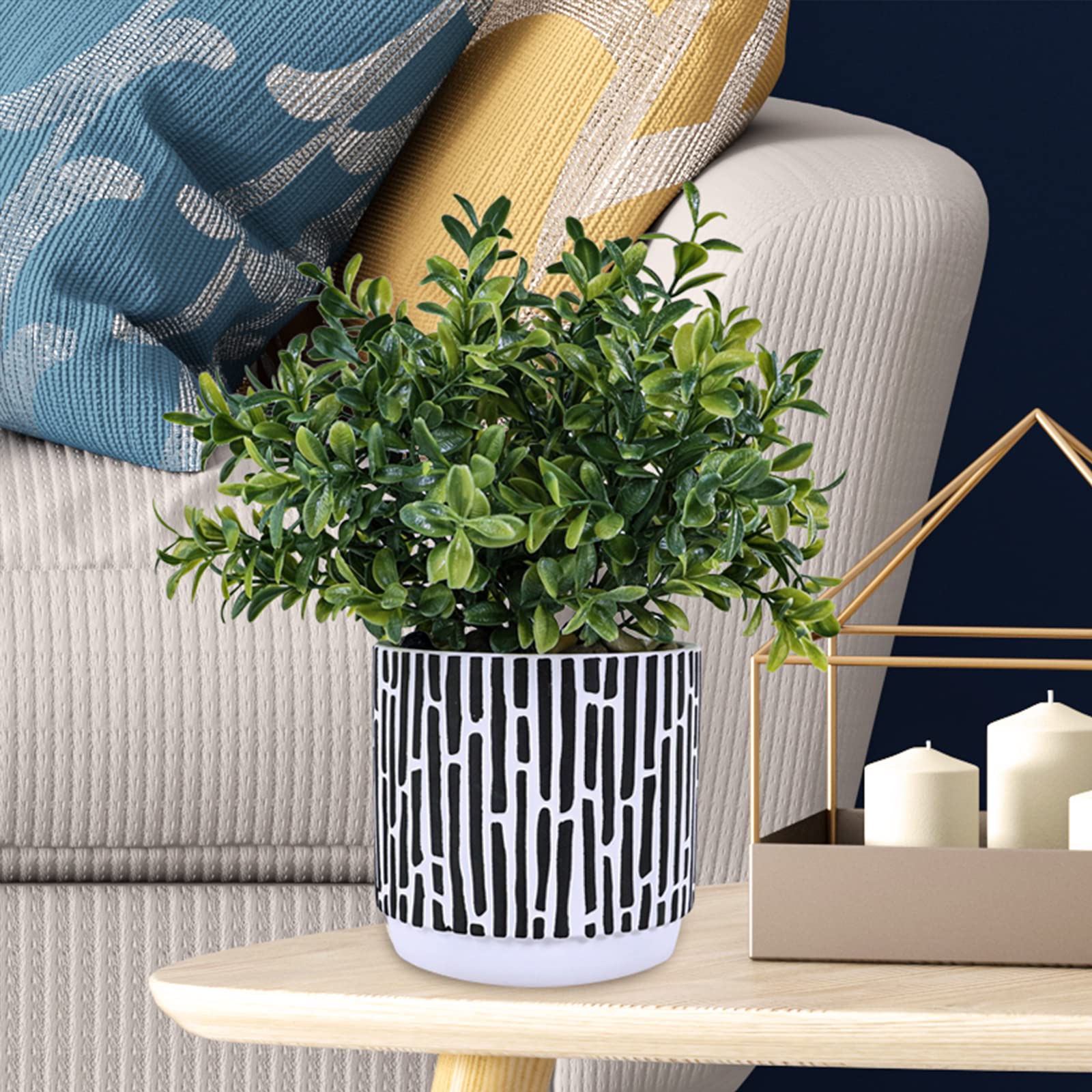 Winlyn 3-pack brings versatile decor for desk, shelf, or windowsill.