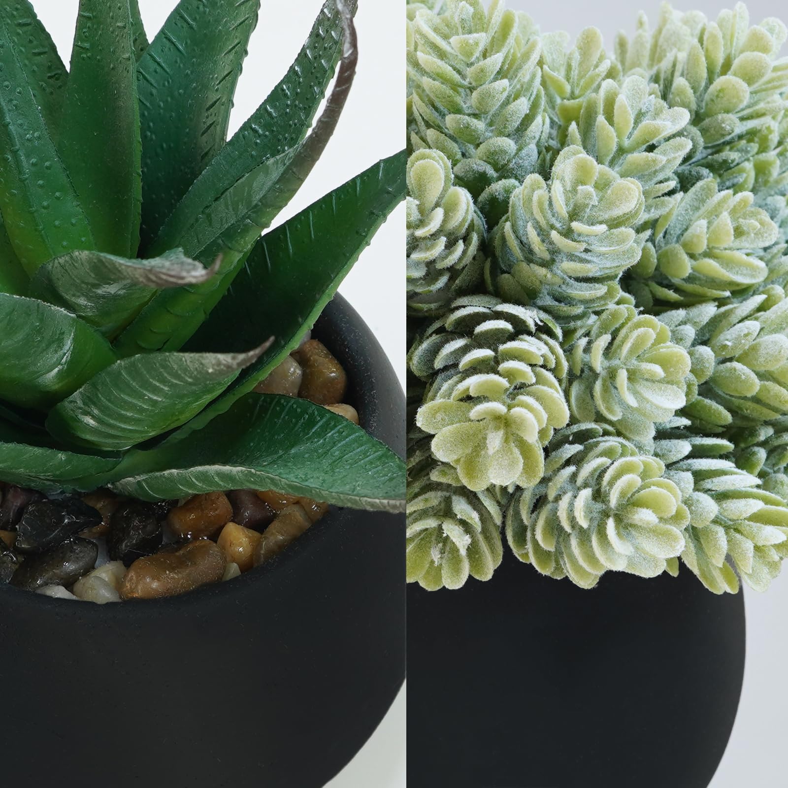 Winlyn string of pearls in black pot creates window sill greenery