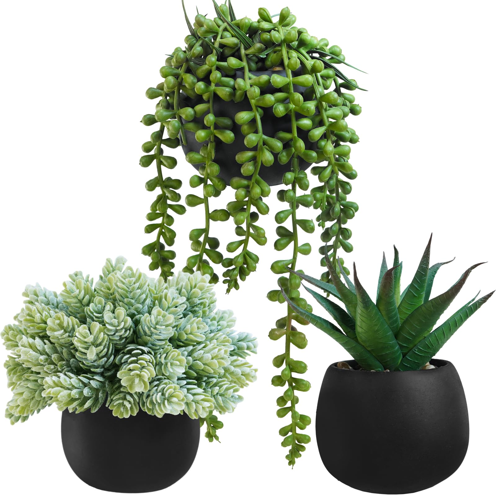 Winlyn aloe succulents in black pots bring fresh desk greenery