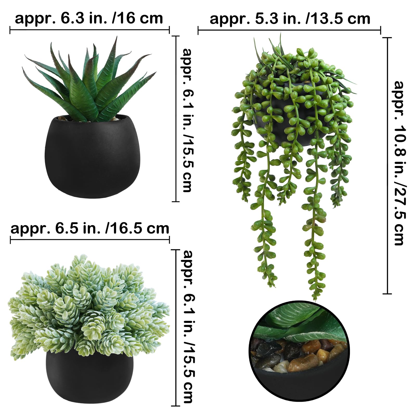 Winlyn hops succulent in black pot adds rustic shelf appeal