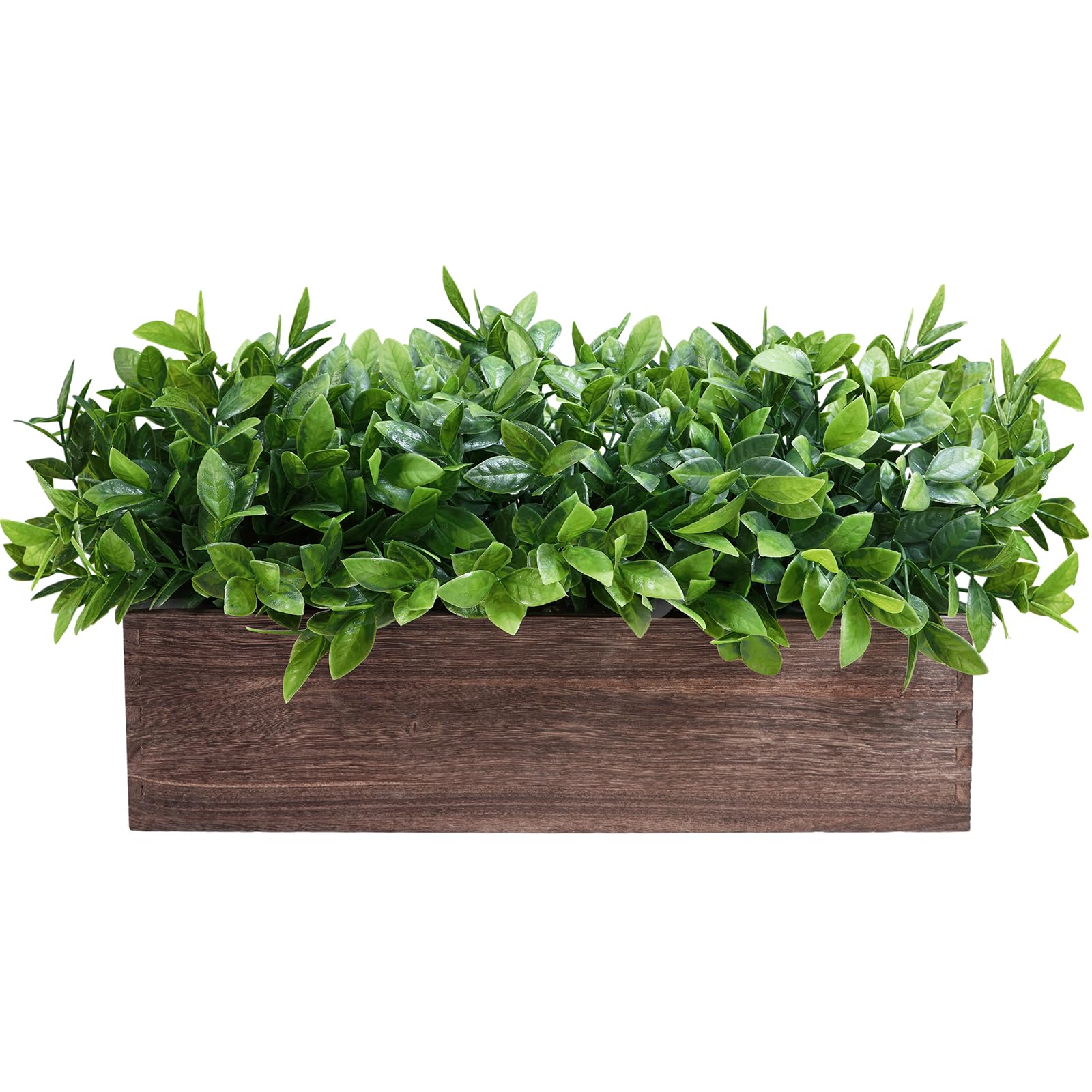 Winlyn boxwood centerpiece on dining table showing maintenance-free greenery
