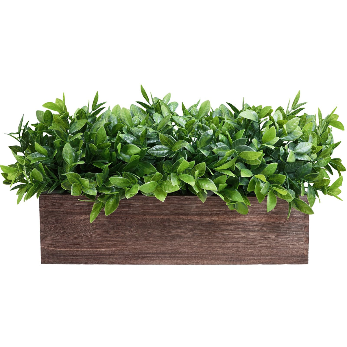 Winlyn boxwood centerpiece on dining table showing maintenance-free greenery