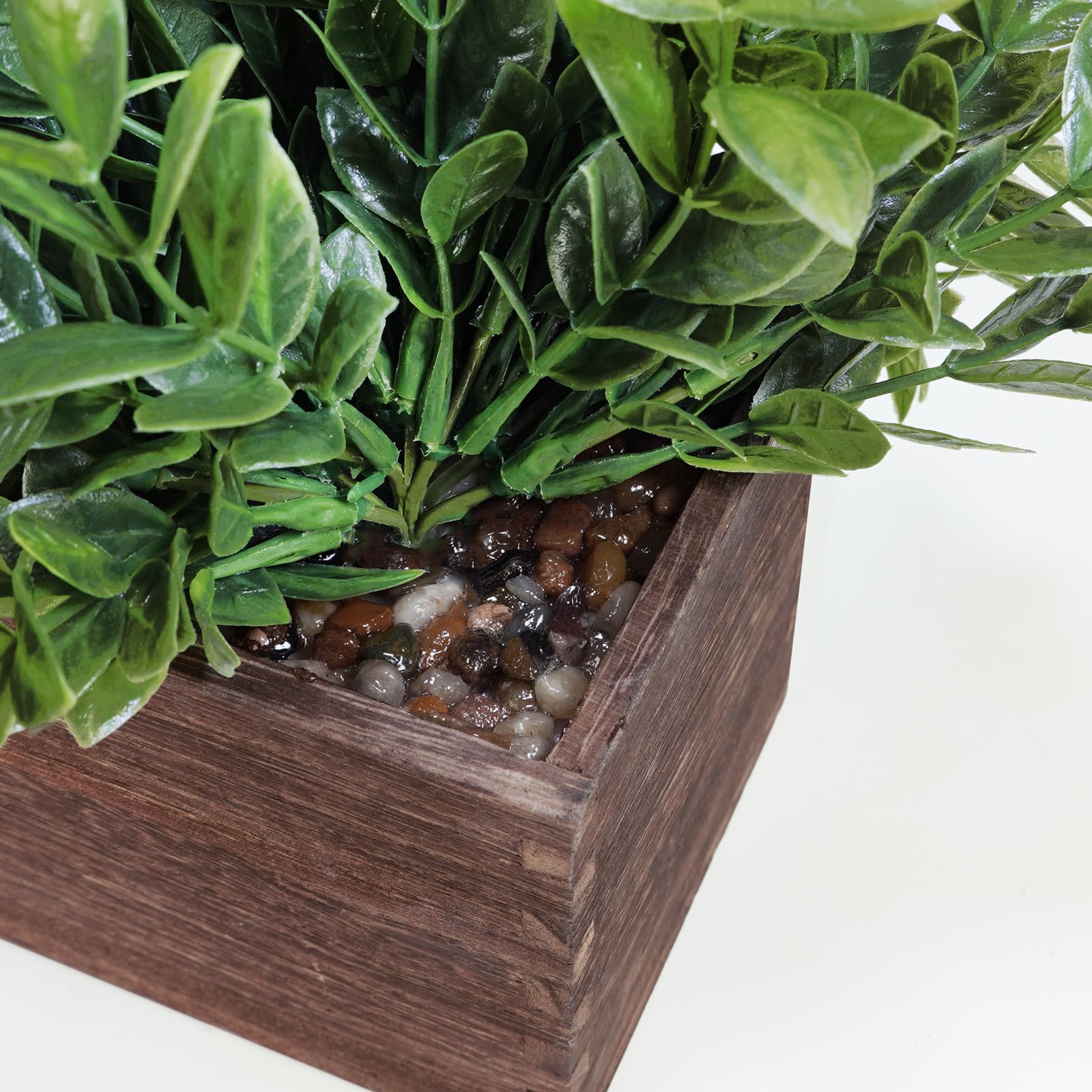 Winlyn boxwood kitchen counter accent bringing natural brightness