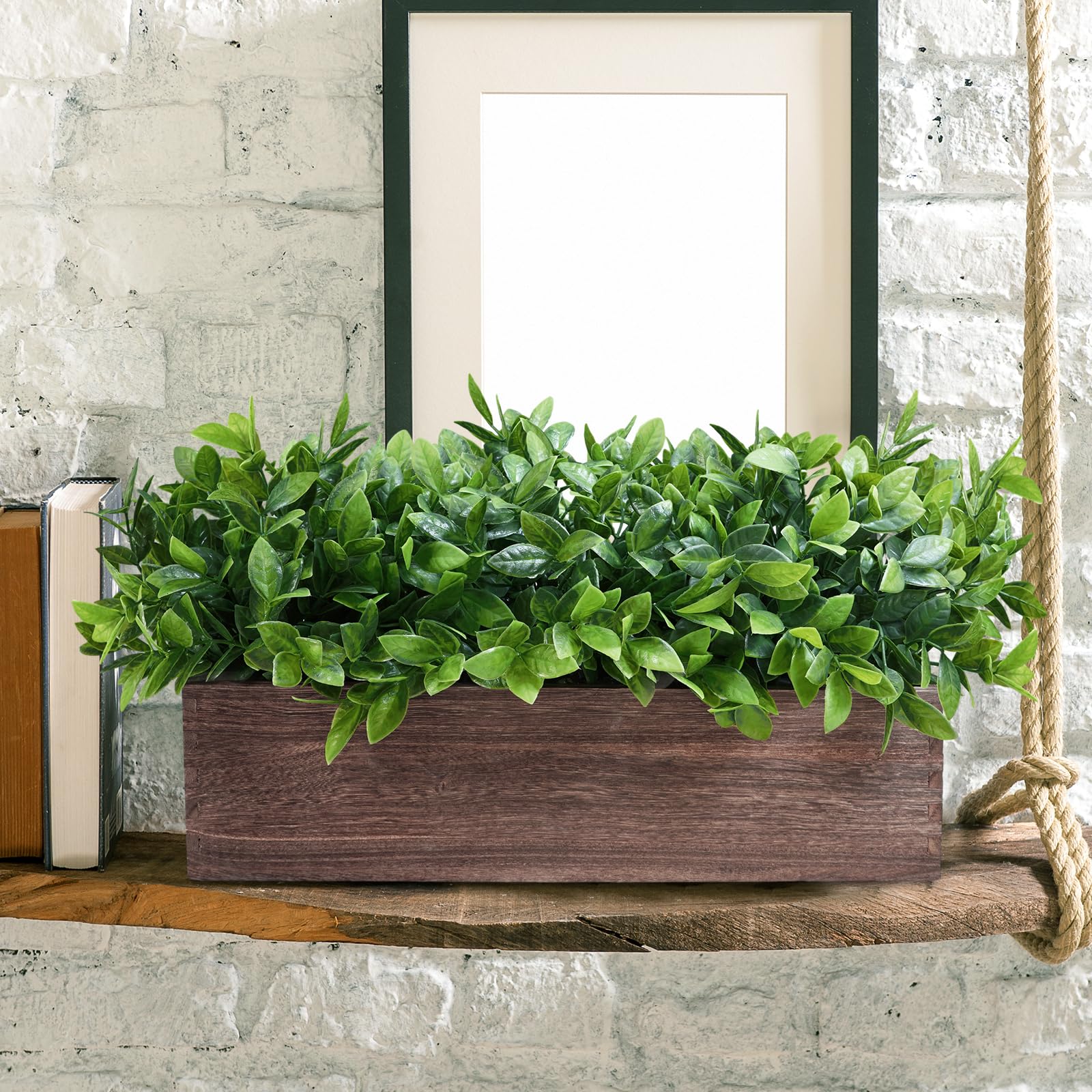 Winlyn boxwood office desk greenery supports focus with clean look
