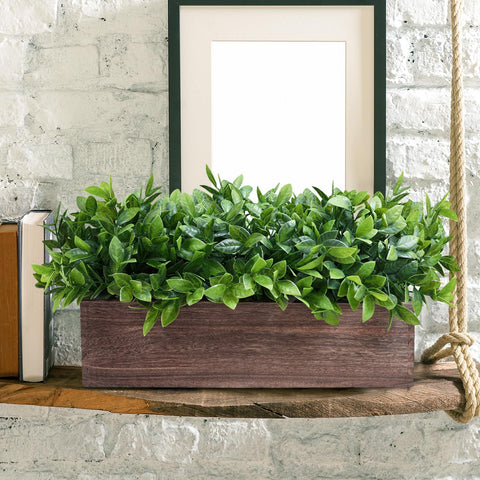 Winlyn boxwood office desk greenery supports focus with clean look