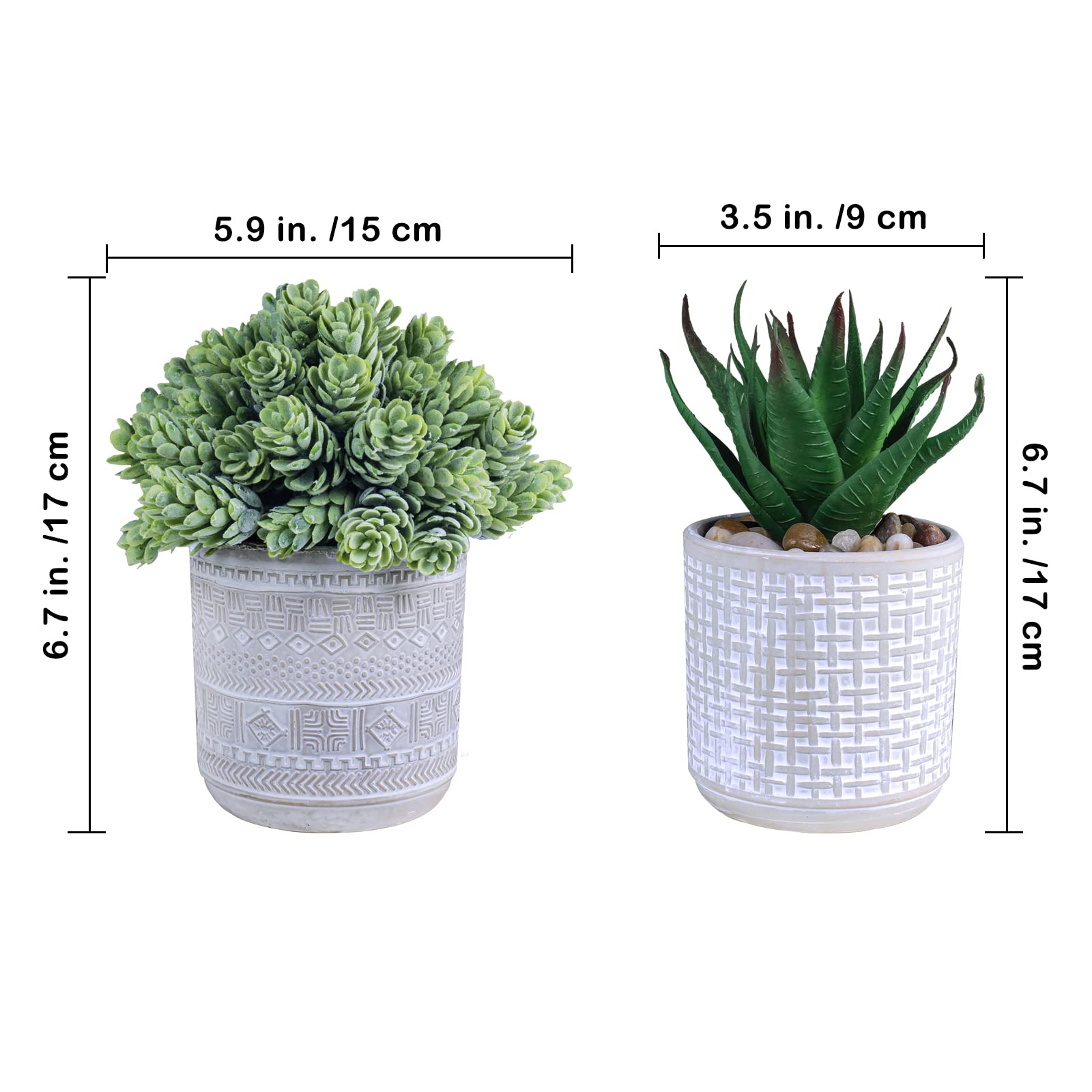 Winlyn desktop succulent display ready for office or study area