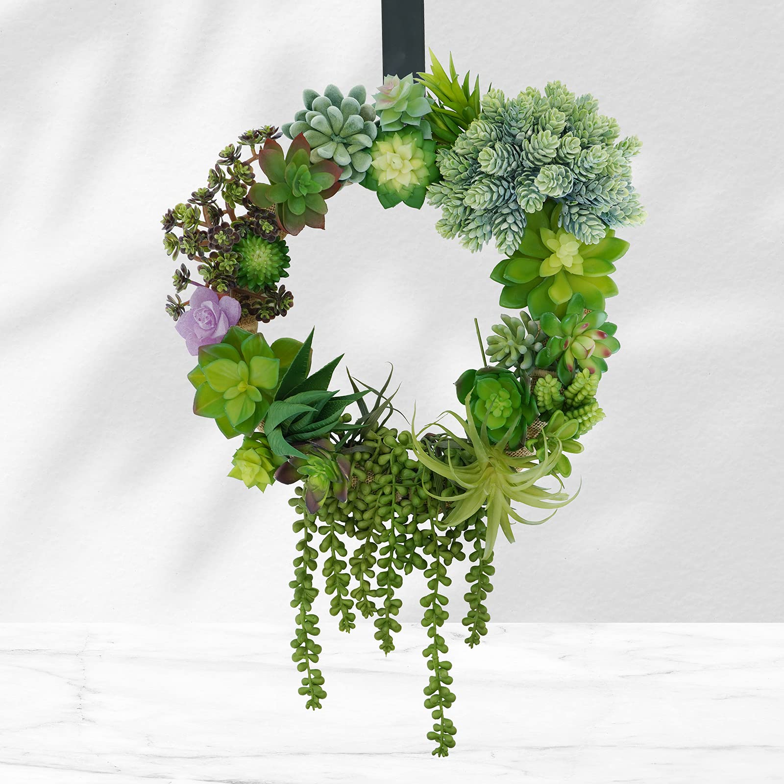 Winlyn echeveria succulent stem enhances wreaths and centerpieces