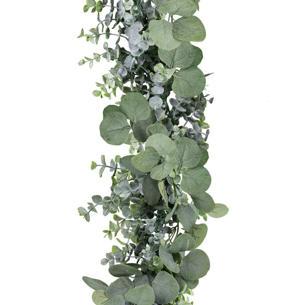 Close-up of Winlyn eucalyptus leaves highlighting durable, non-wilt design.