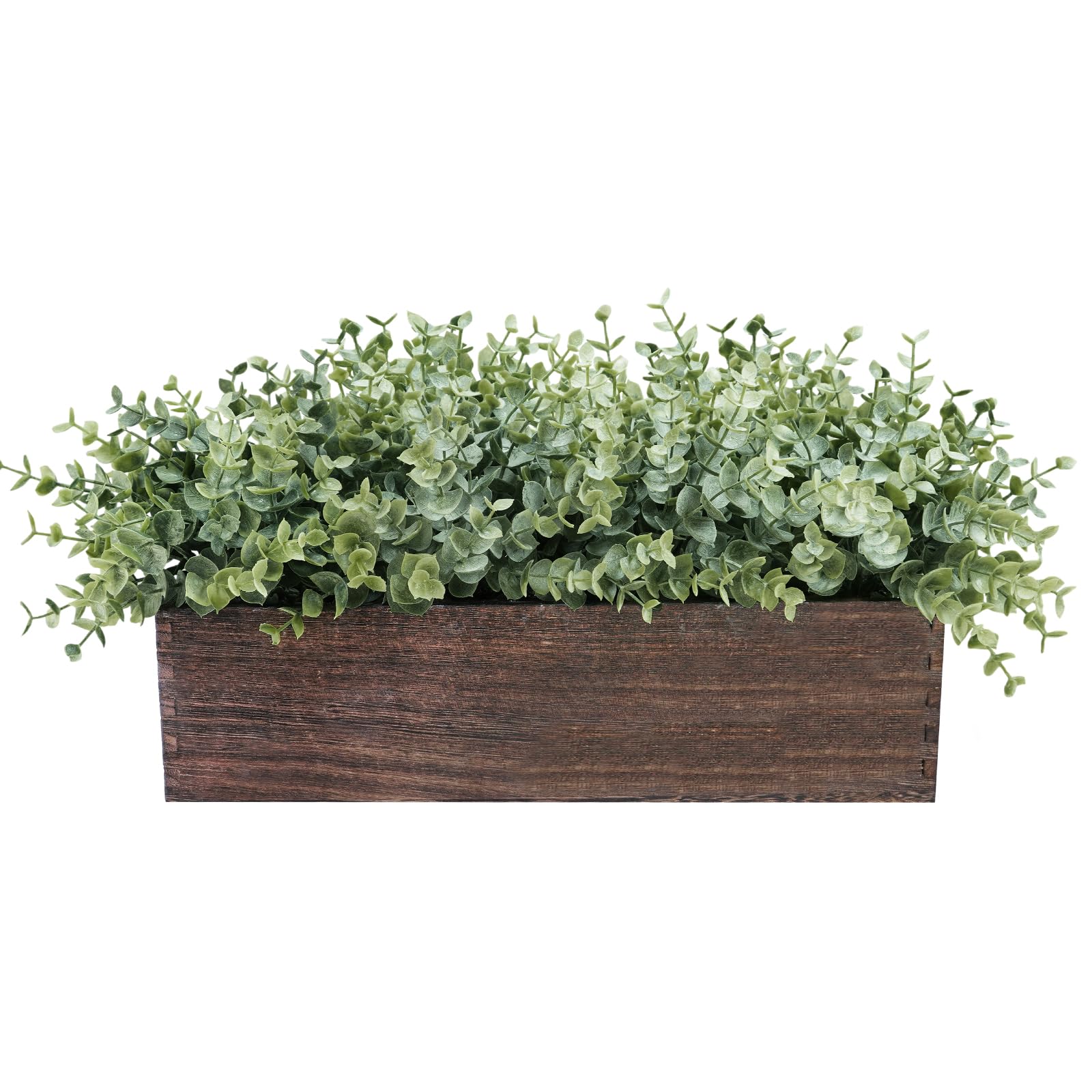 Winlyn eucalyptus in a rectangular planter adds rustic farmhouse charm.