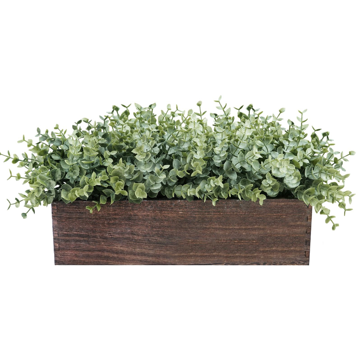 Winlyn eucalyptus in a rectangular planter adds rustic farmhouse charm.