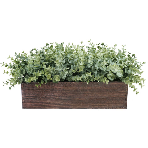 Winlyn eucalyptus in a rectangular planter adds rustic farmhouse charm.