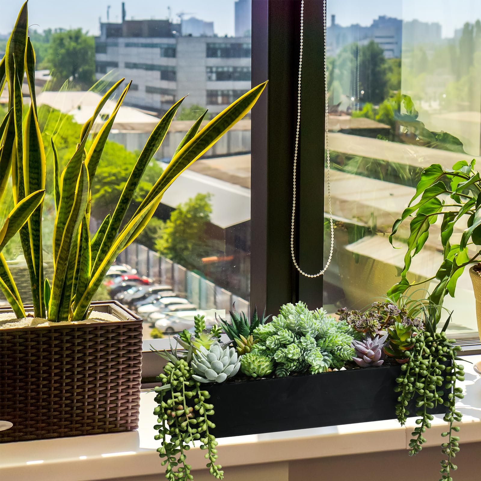 Winlyn flocked succulents add a tactile, lifelike touch to any room.