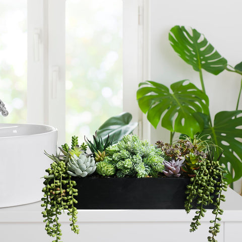 Winlyn ready-to-gift greenery makes a thoughtful housewarming or celebration present.