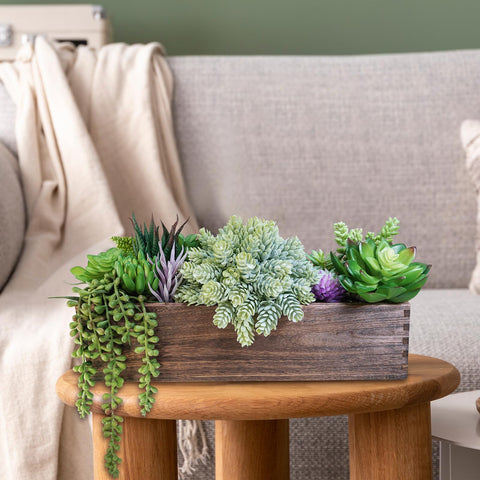 Winlyn faux succulent gift idea ideal for occasions.