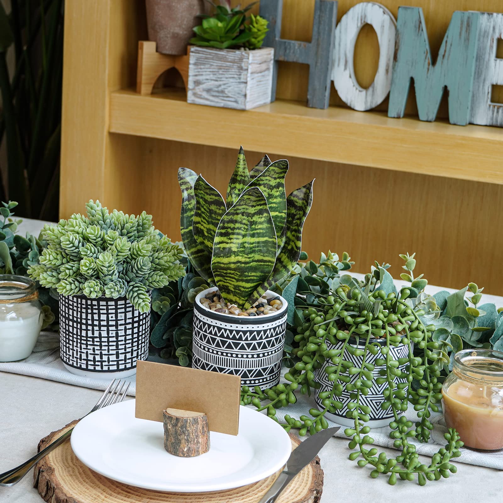 Winlyn indoor-outdoor greenery display suitable for living rooms and patios.