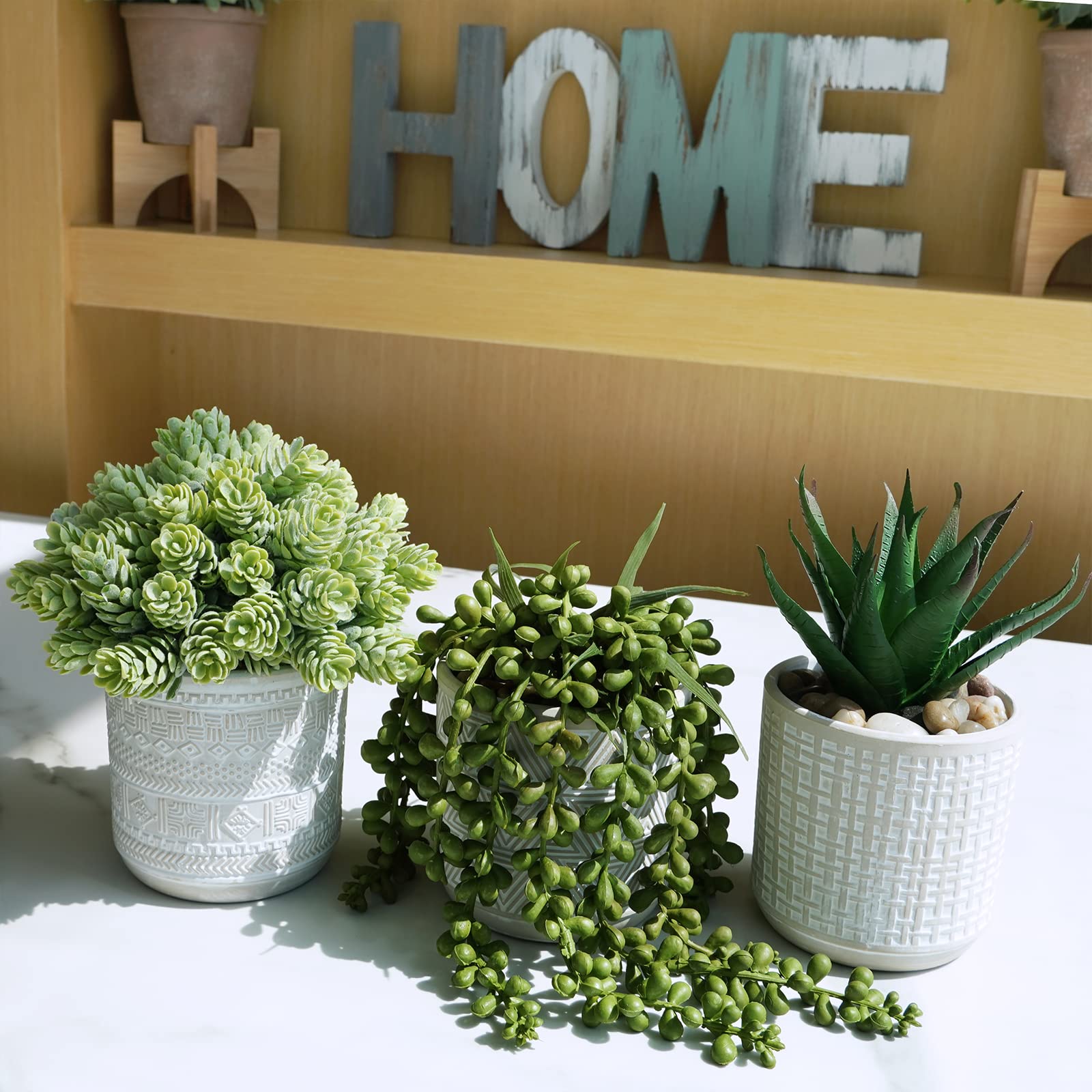 Winlyn modern concrete ceramic planters enhance any contemporary space