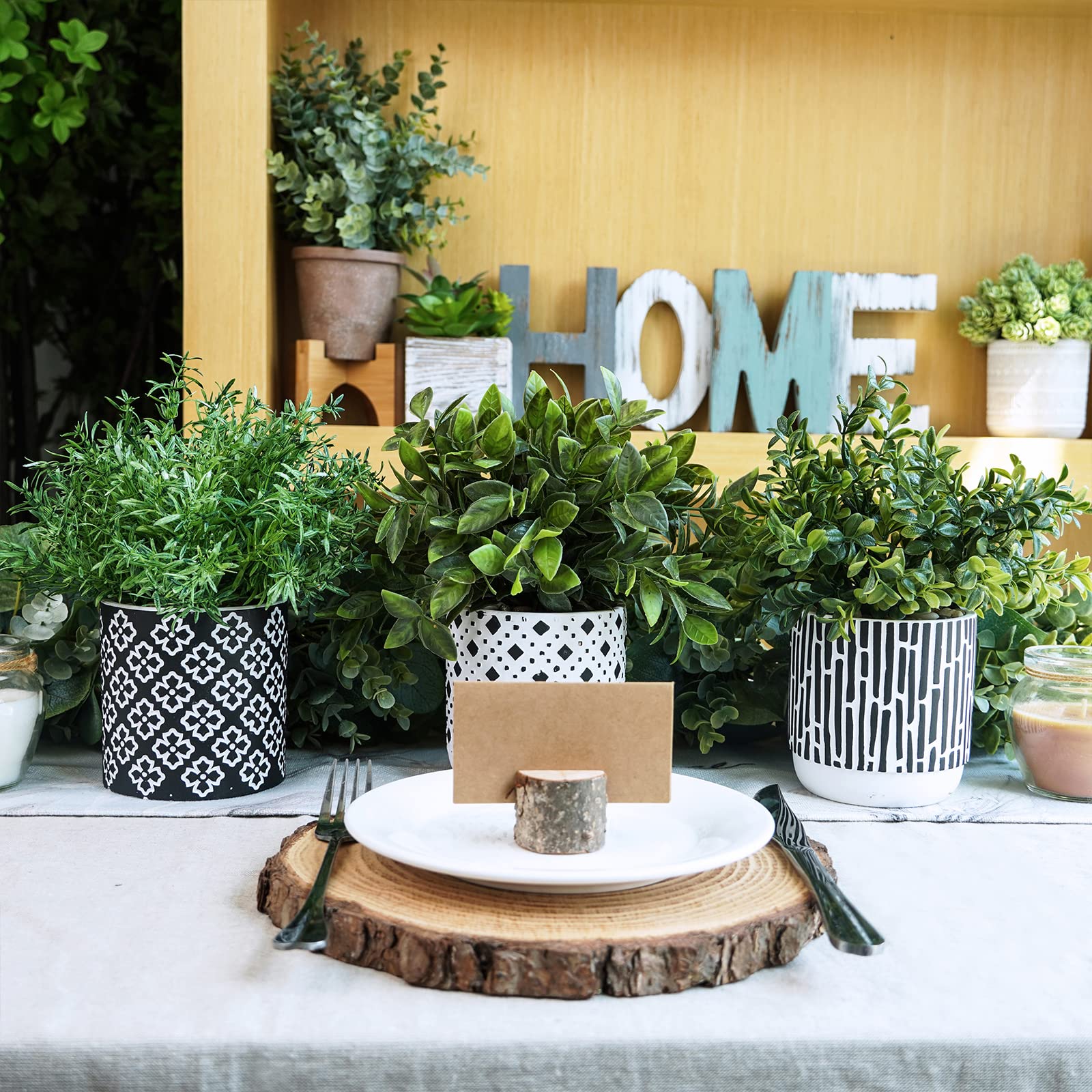 Winlyn rosemary on a bookshelf adds a natural touch to interiors.