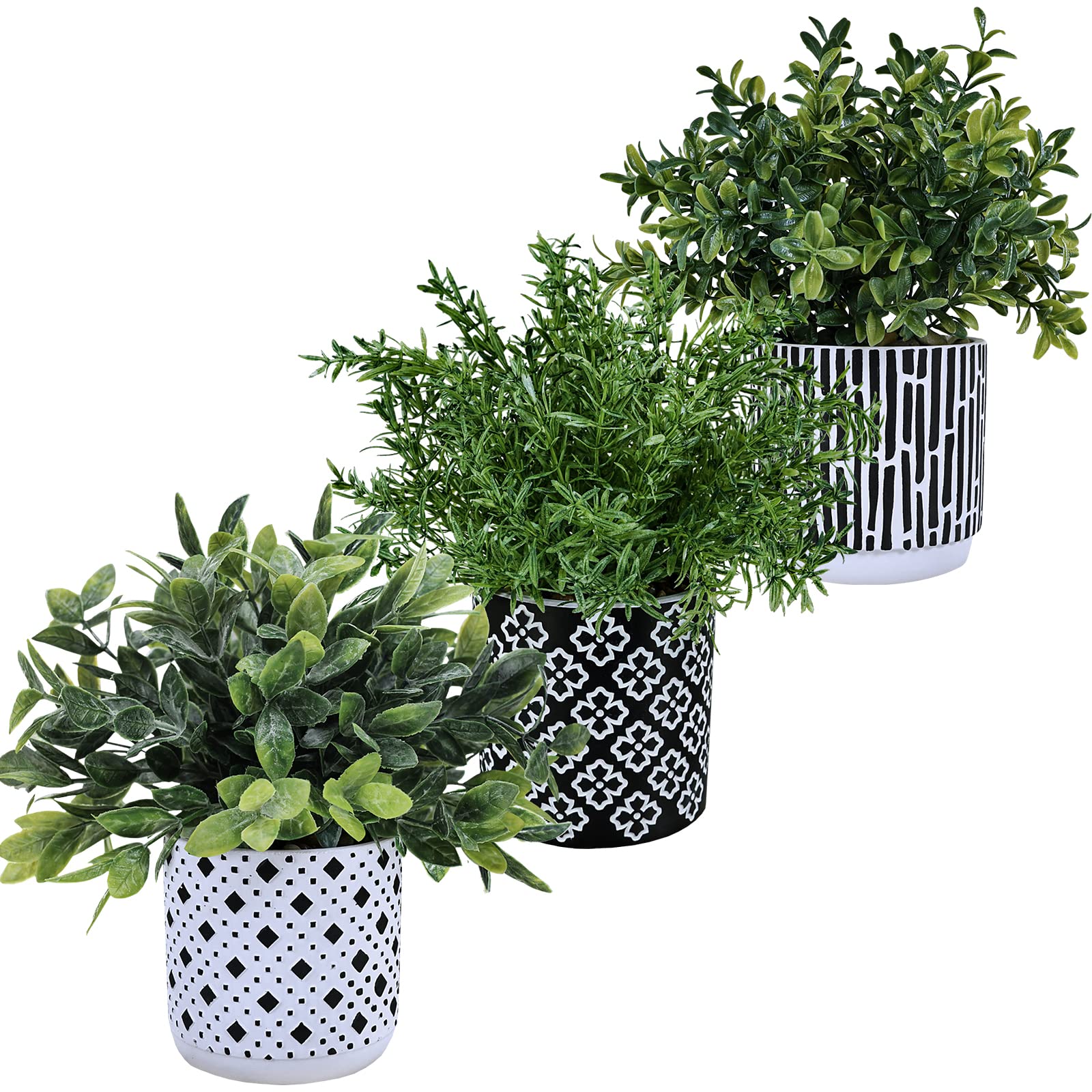 Winlyn rosemary close-up in geometric concrete pot adds chic kitchen shelf decor.