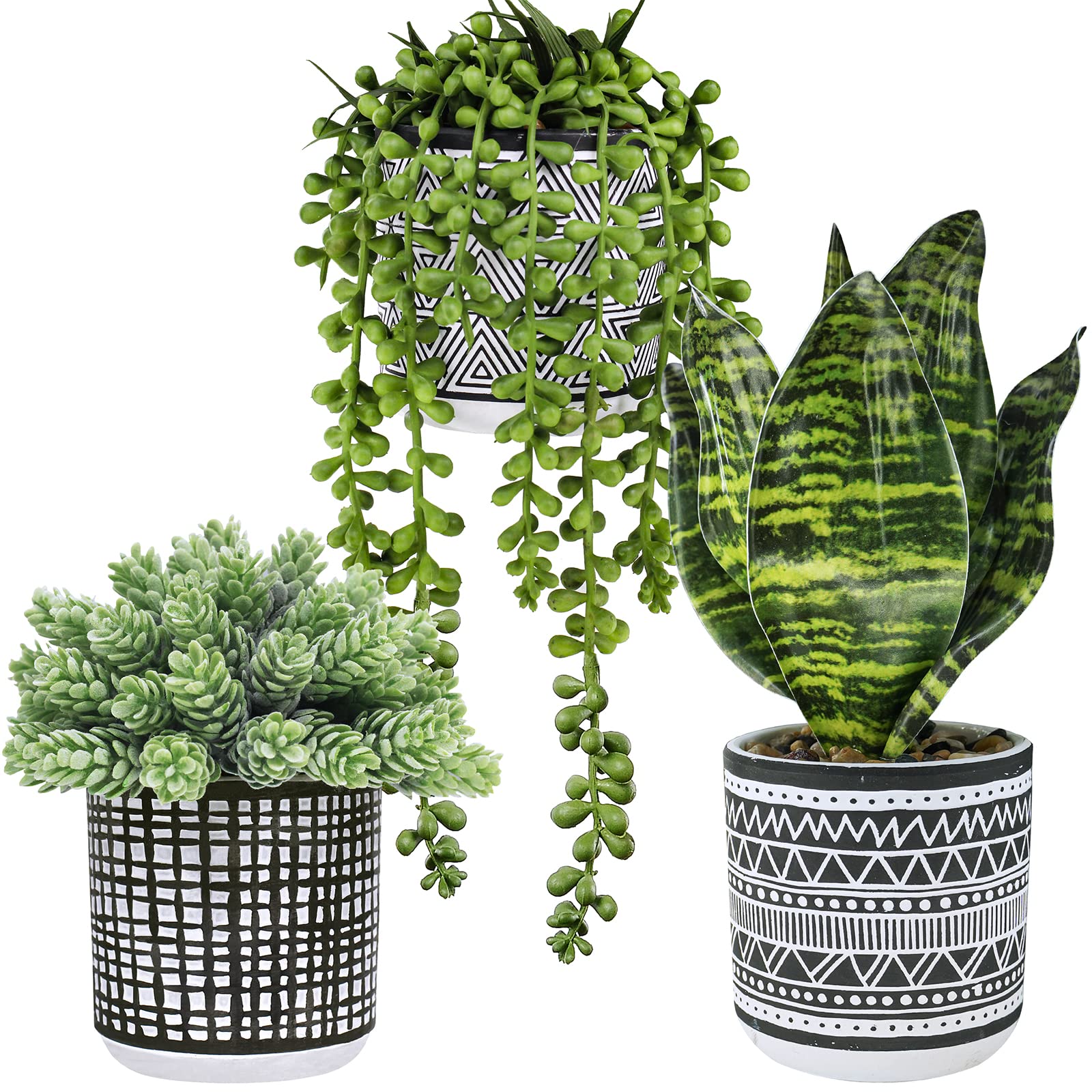 Winlyn small potted succulents hanging setup in black pots, ideal for windowsills and desks.