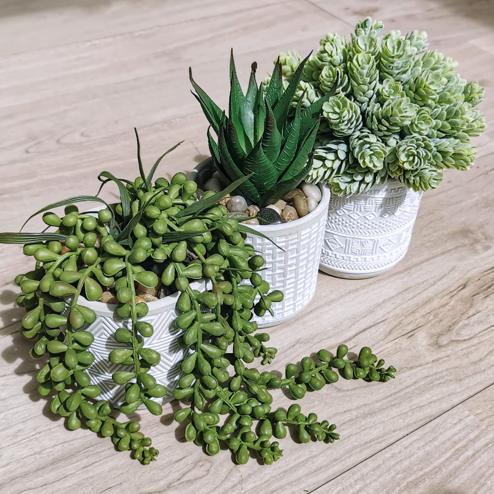 Winlyn small potted succulents nestled in decorative pebbles
