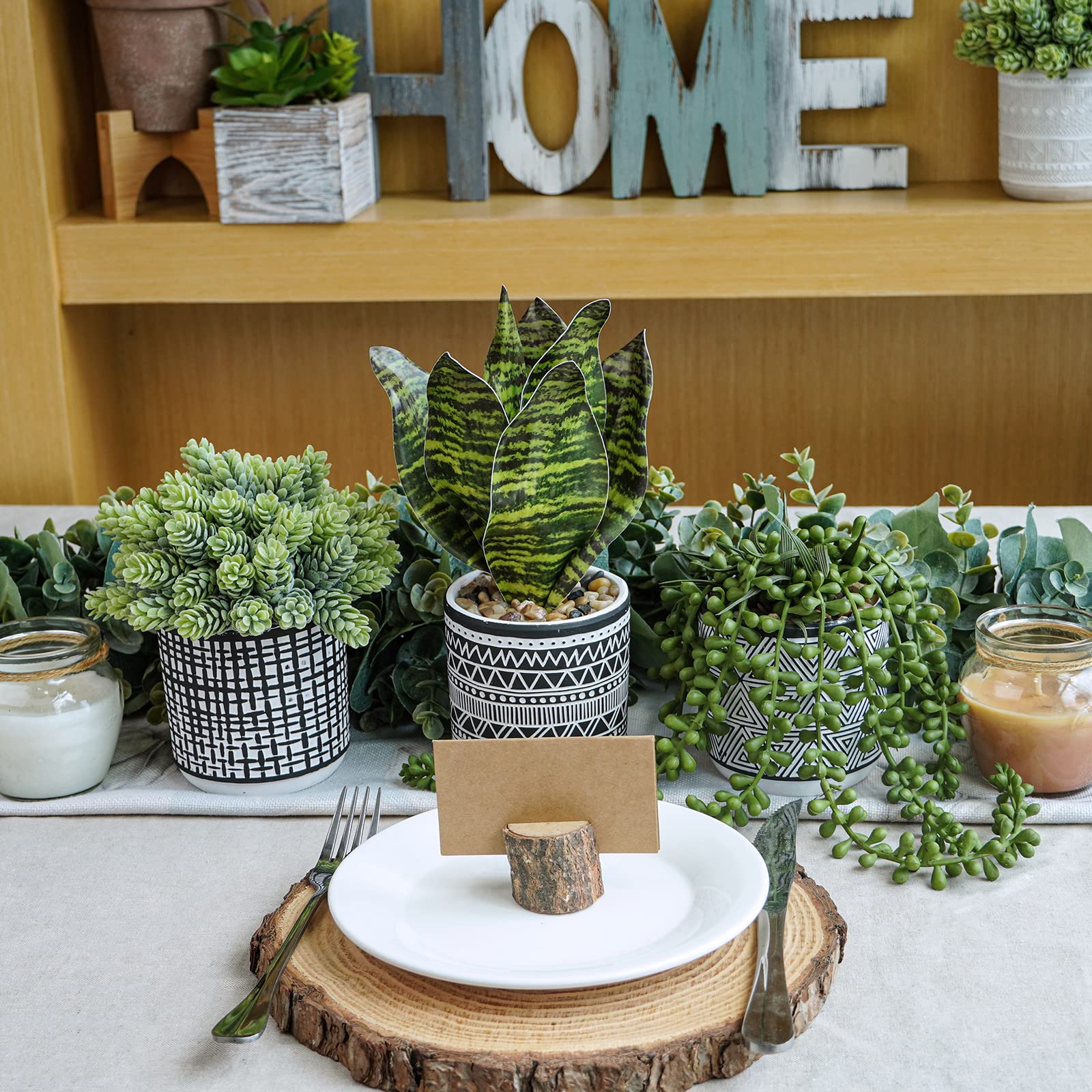 Winlyn string of pearls succulent in concrete pot creates a green shelf centerpiece.