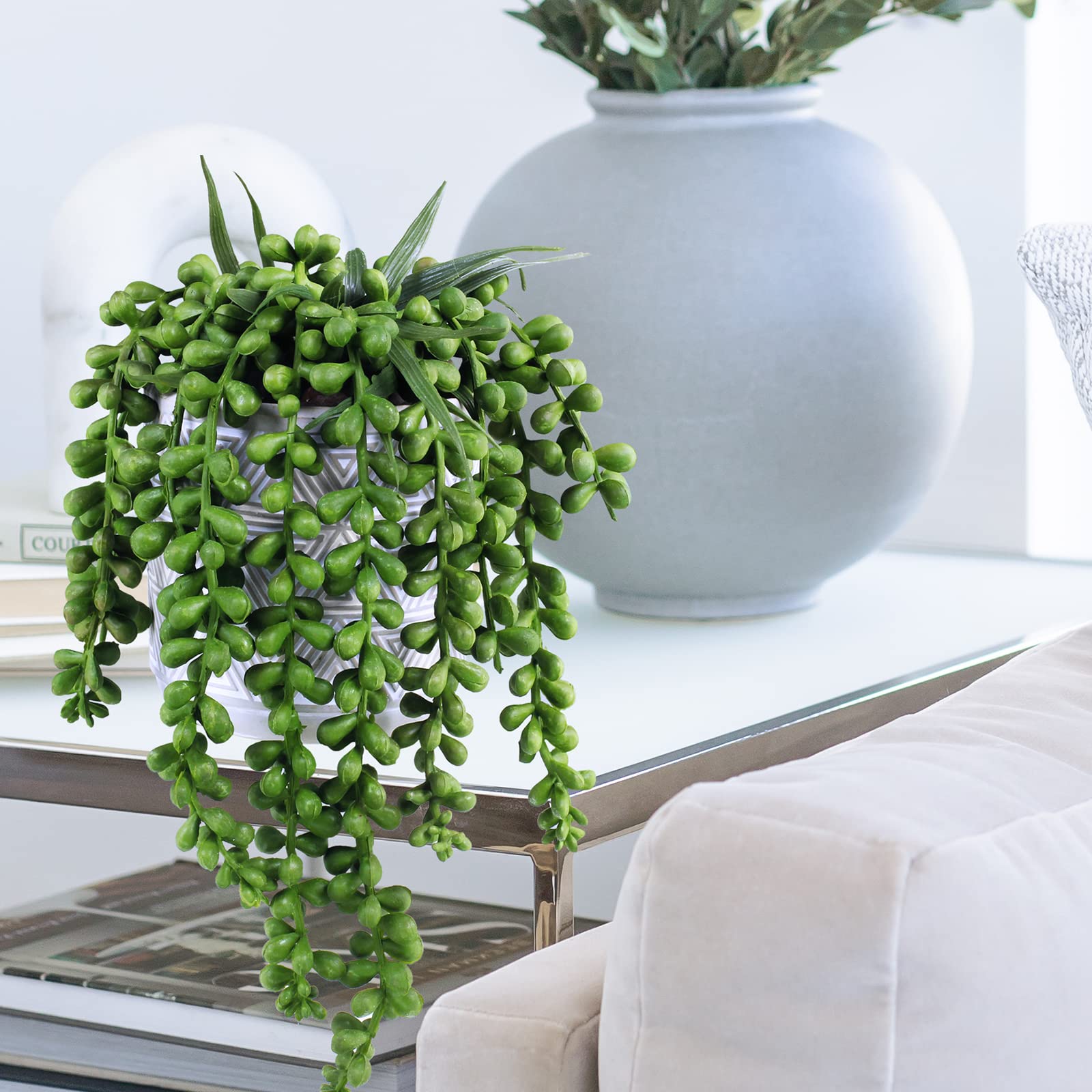 Winlyn three-pack succulent gift set ideal for gift-giving