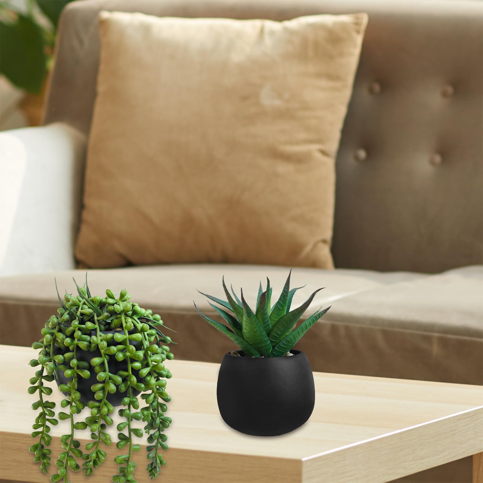 Realistic faux succulents by Winlyn require no maintenance