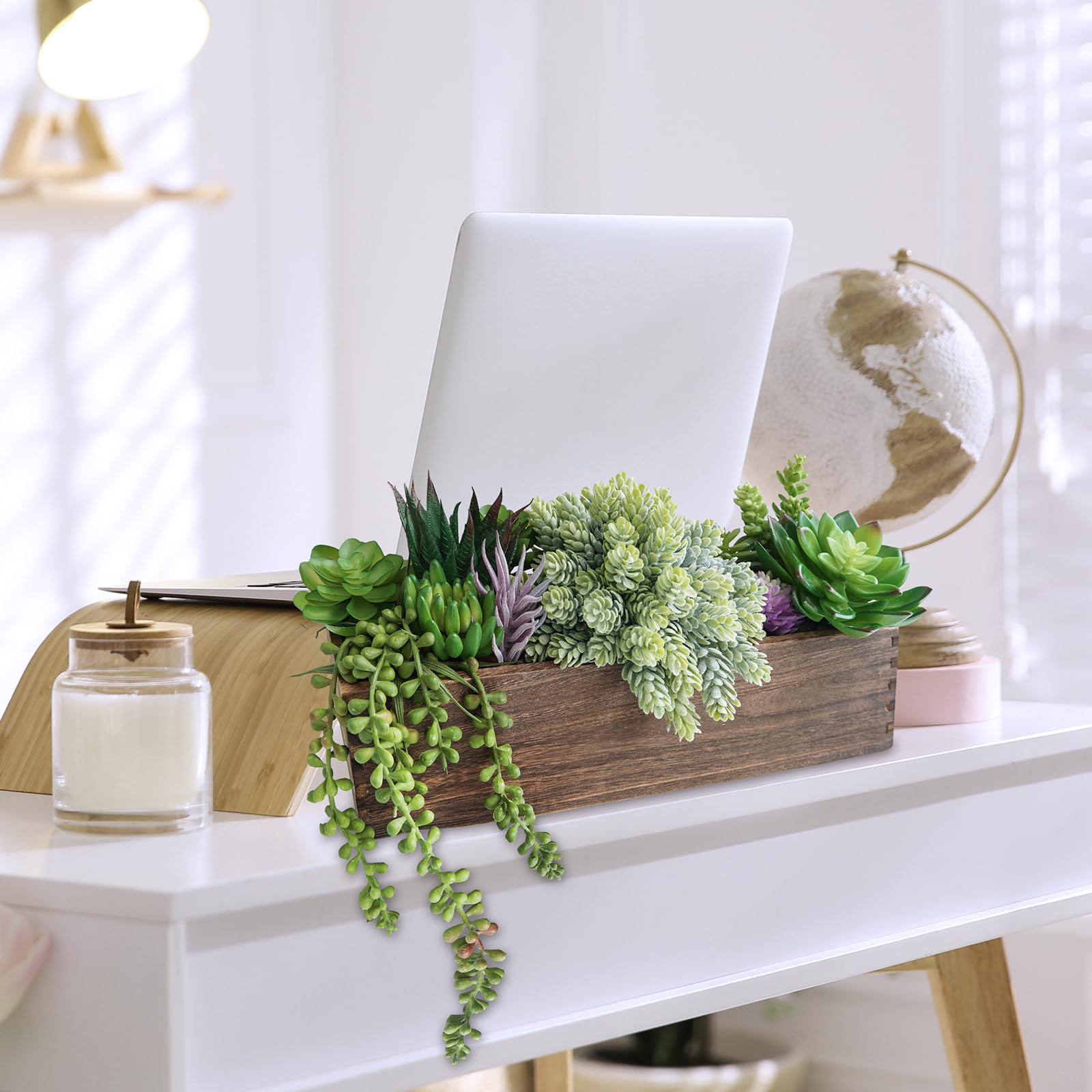 Winlyn arrangement shown on windowsill for bright, low-maintenance greenery.