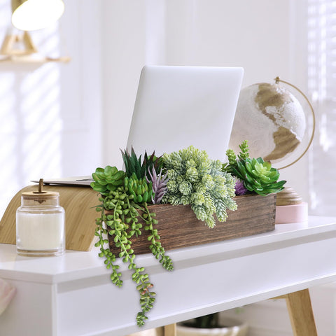 Winlyn arrangement shown on windowsill for bright, low-maintenance greenery.