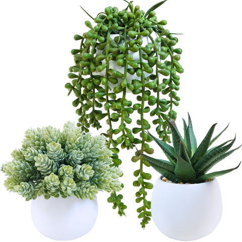 Winlyn aloe artificial succulent in a white concrete pot adds a fresh focal point to shelves.