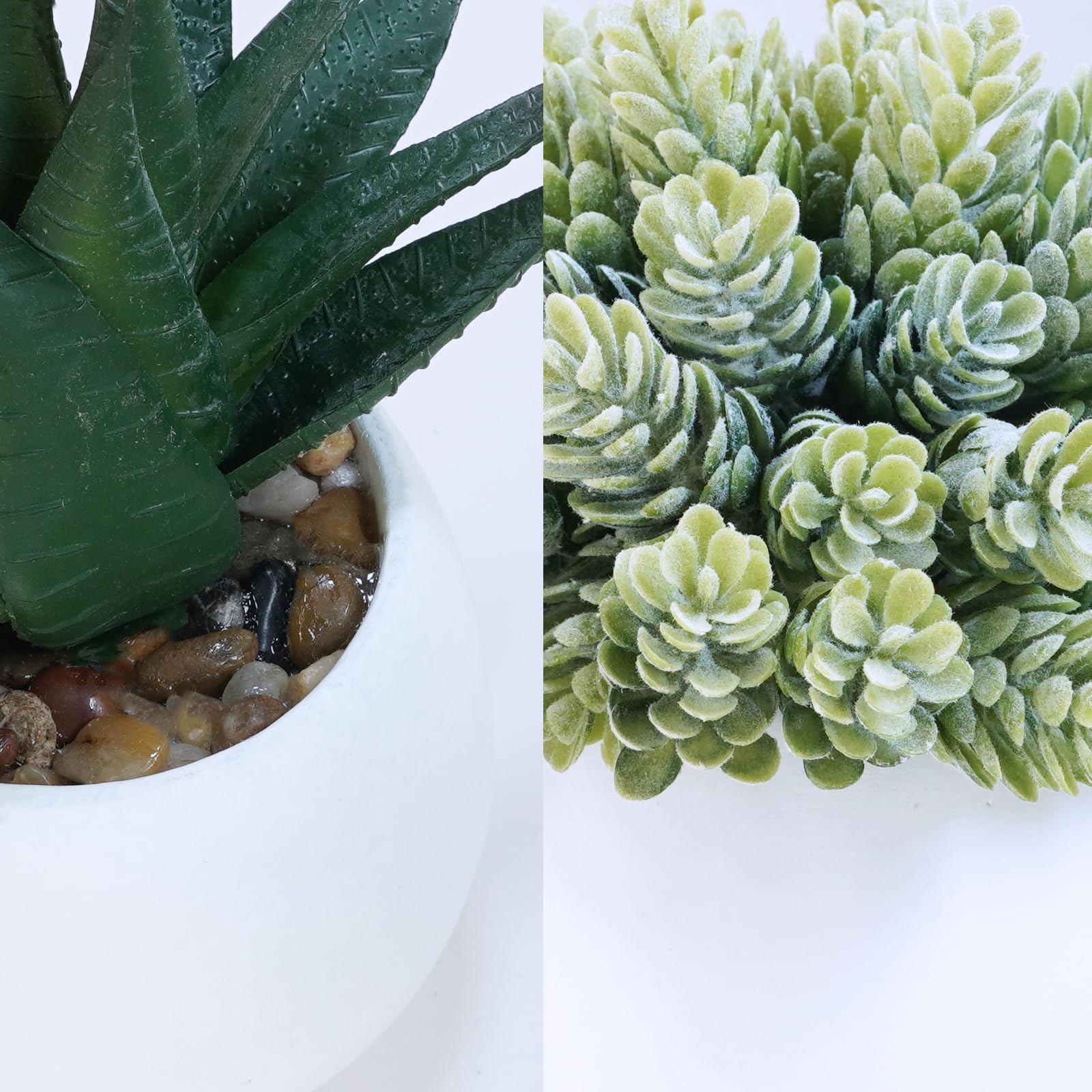 Winlyn aloe artificial succulent in white pot top view shows compact height and shape.