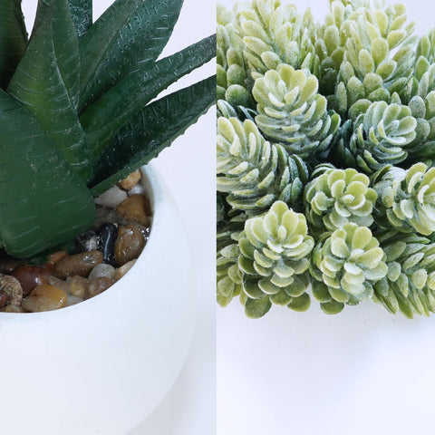 Winlyn aloe artificial succulent in white pot top view shows compact height and shape.