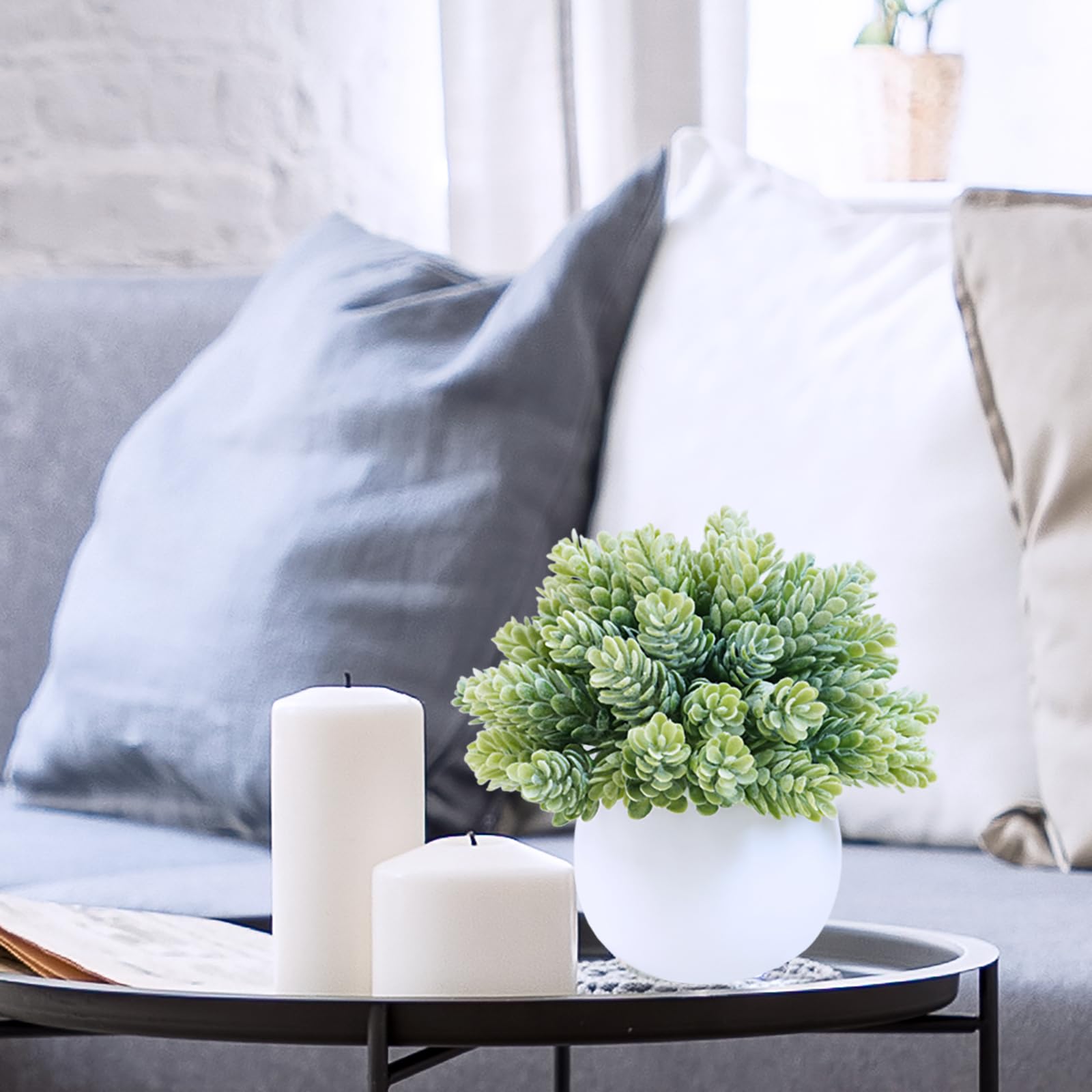 Winlyn string of pearls in white pot side view enhances shelves with graceful greenery.