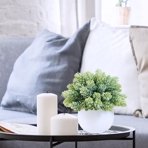 Winlyn string of pearls in white pot side view enhances shelves with graceful greenery.